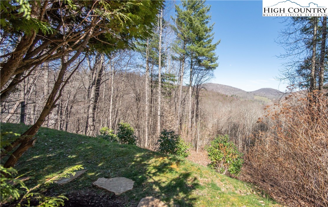 308 Ragan Road Todd, NC 28684 - Photo 23 of 28 Gallery Image 23
