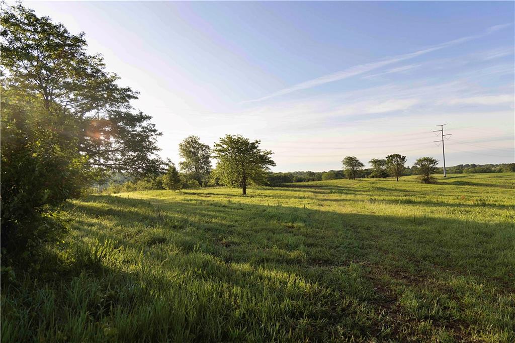 Murray Rd Road Polo, MO 64671 - Photo 40 of 53