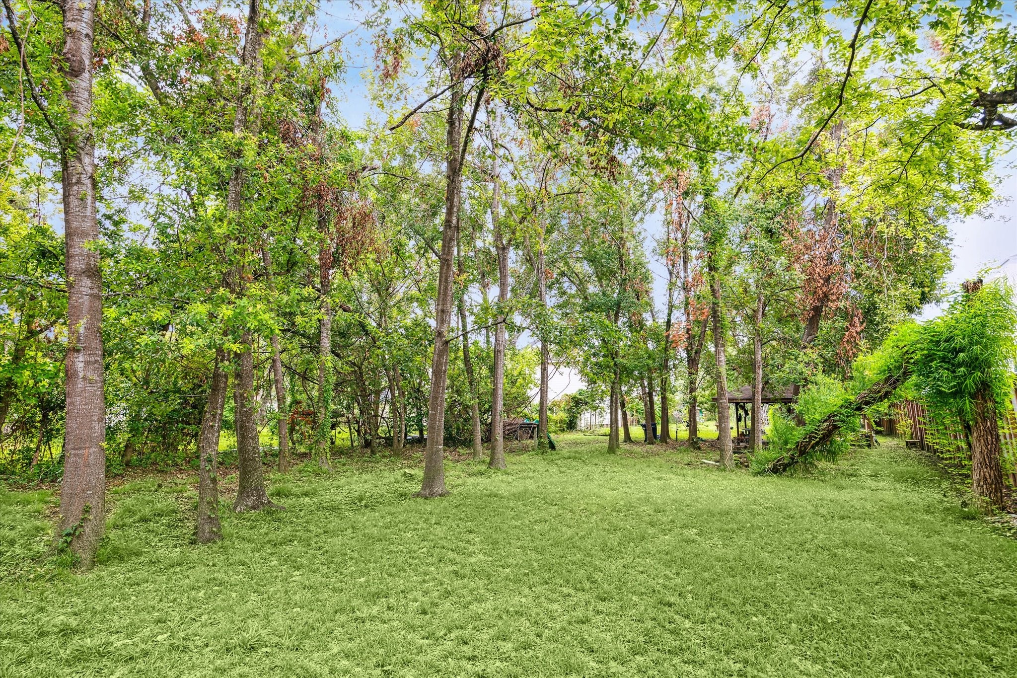 405 West Donovan Street Houston, TX 77091 - Photo 4 of 9 a view of outdoor space with trees all around