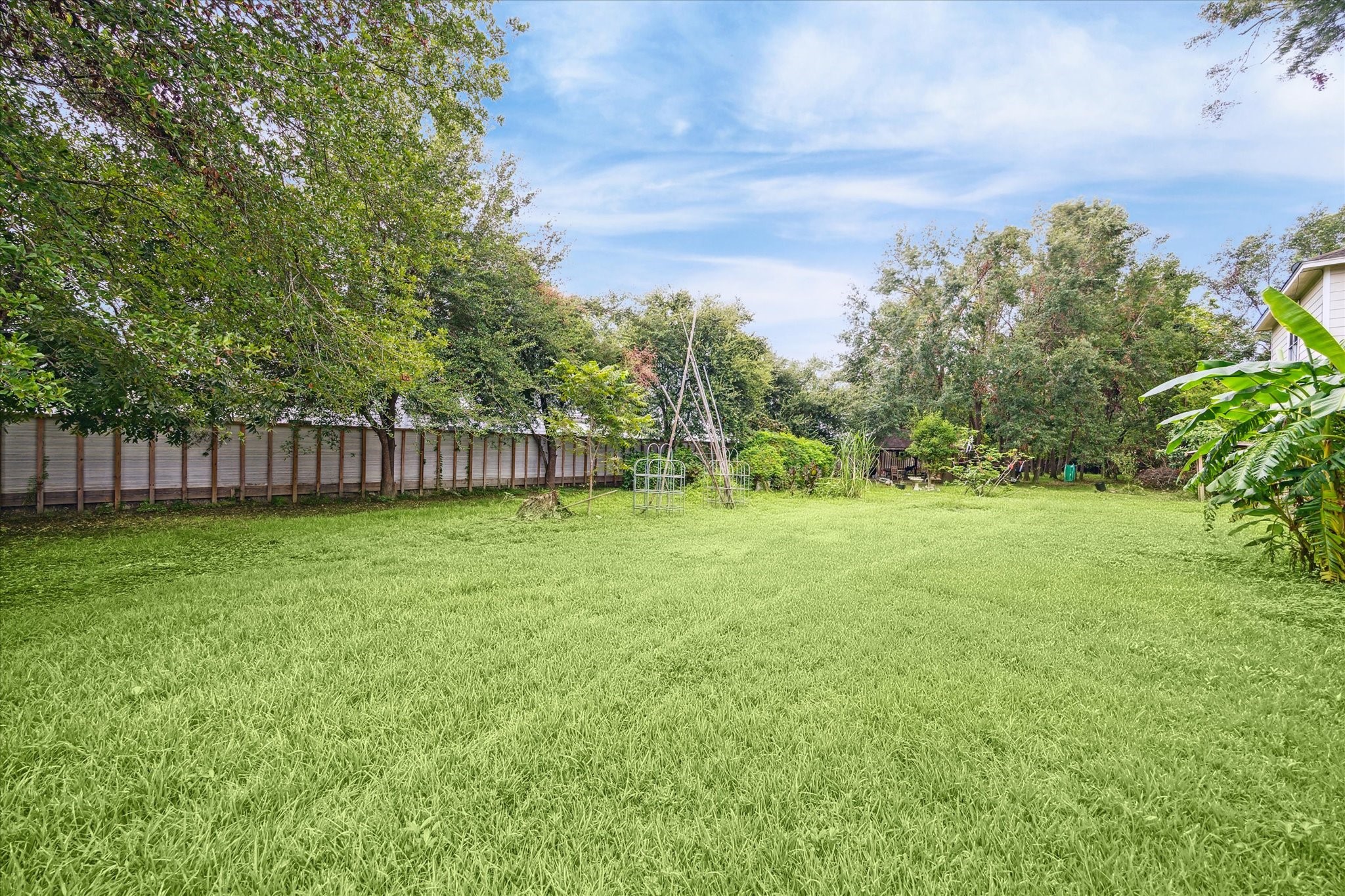 405 West Donovan Street Houston, TX 77091 - Photo 5 of 9 a view of a yard with a tree
