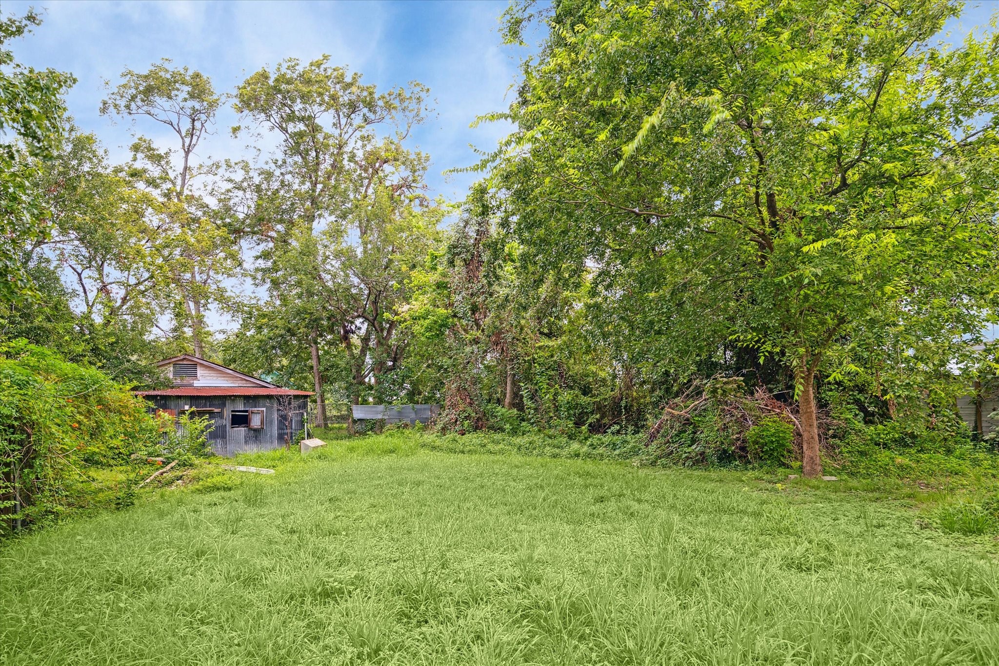 405 West Donovan Street Houston, TX 77091 - Photo 6 of 9 a view of a garden with a tree