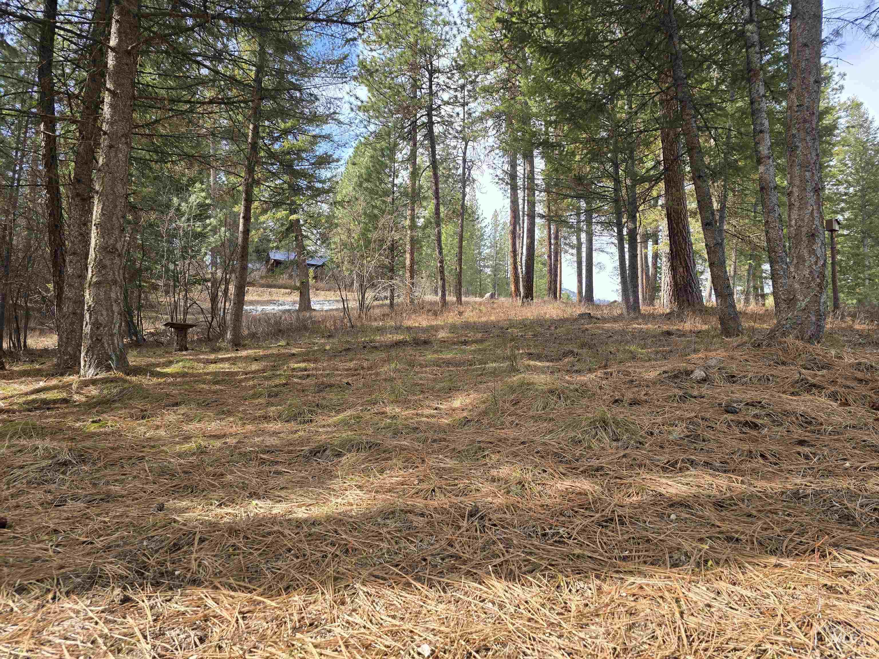 Tbd Ranch Road Garden Valley, ID 83622 - Photo 1 of 12