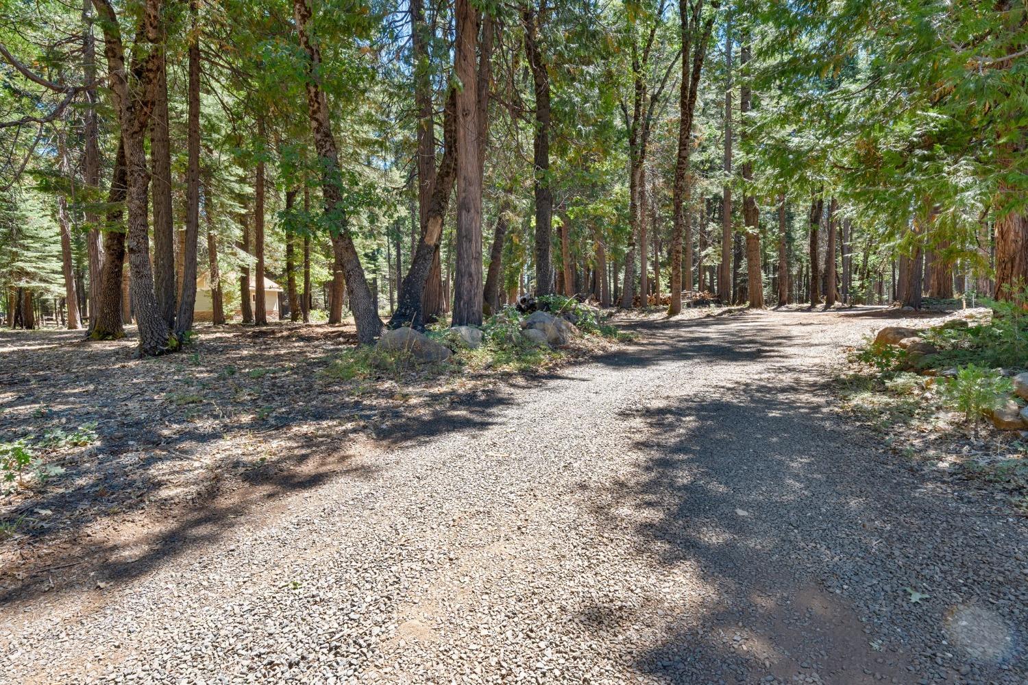 740 Hideaway Loop Alta, CA 95701 - Photo 56 of 74 a view of a yard with a tree