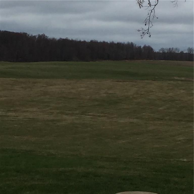 289 Golf Course Road Volant, PA 16156 - Photo 20 of 24 Part of the seven acres.