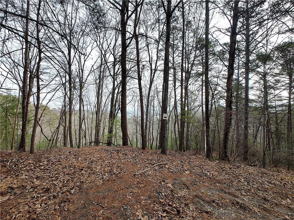 1036 Astro Court Northeast Ranger, GA 30734 - Photo 6 of 12