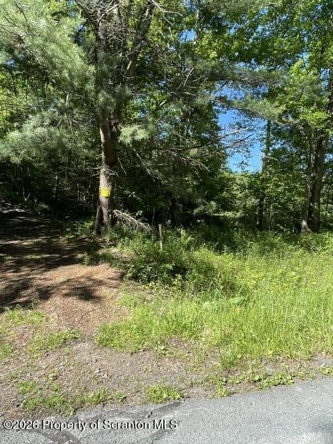 404 Martini Road Moscow, PA 18444 - Photo 3 of 12 perc site