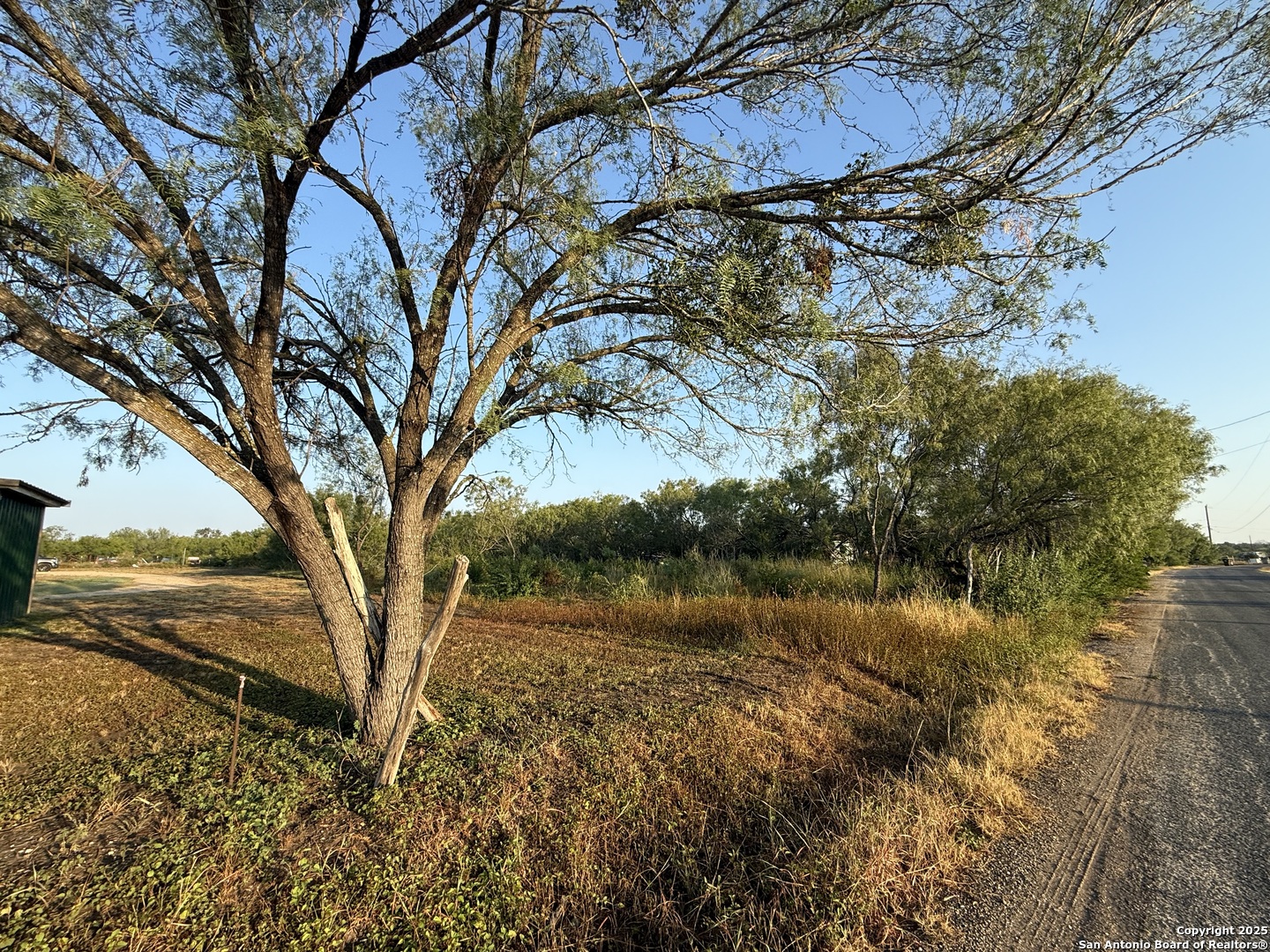 15875 Luckey Road Atascosa, TX 78002 - Photo 1 of 3 a view of a yard with a tree