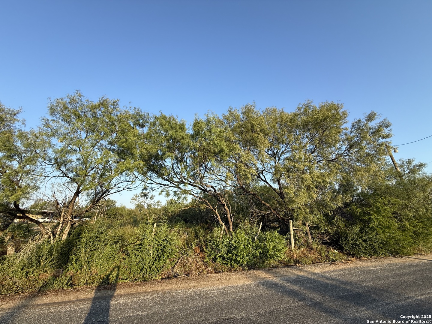 15875 Luckey Road Atascosa, TX 78002 - Photo 2 of 3 a view of a yard
