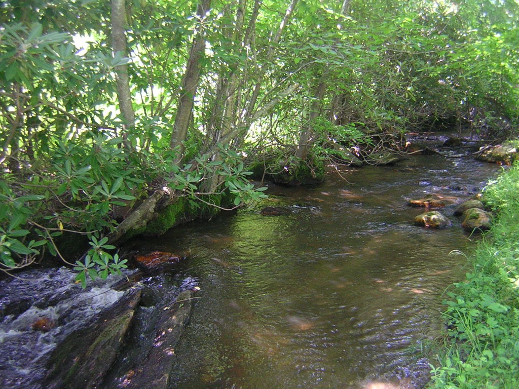 0 Old Furnace Road Southwest Floyd, VA 24091 - Photo 1 of 6 Stream