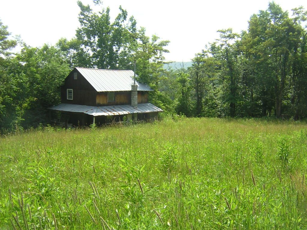 0 Old Furnace Road Southwest Floyd, VA 24091 - Photo 2 of 6 Abandoned House used as Hunting Cabin