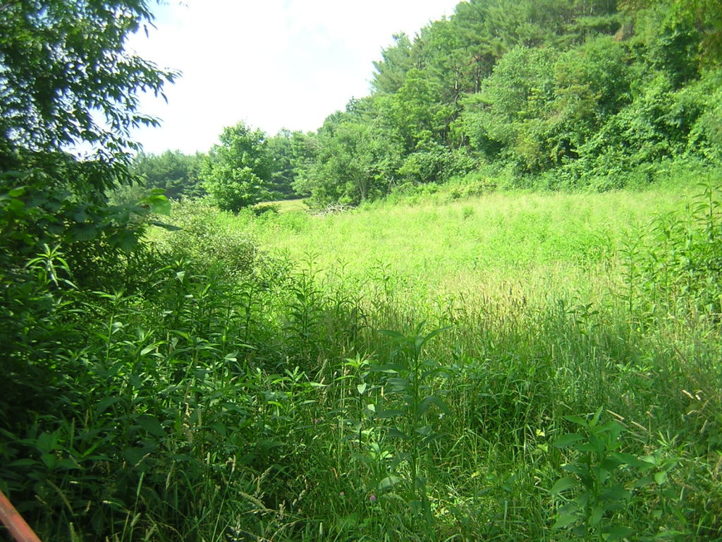 0 Old Furnace Road Southwest Floyd, VA 24091 - Photo 3 of 6 View