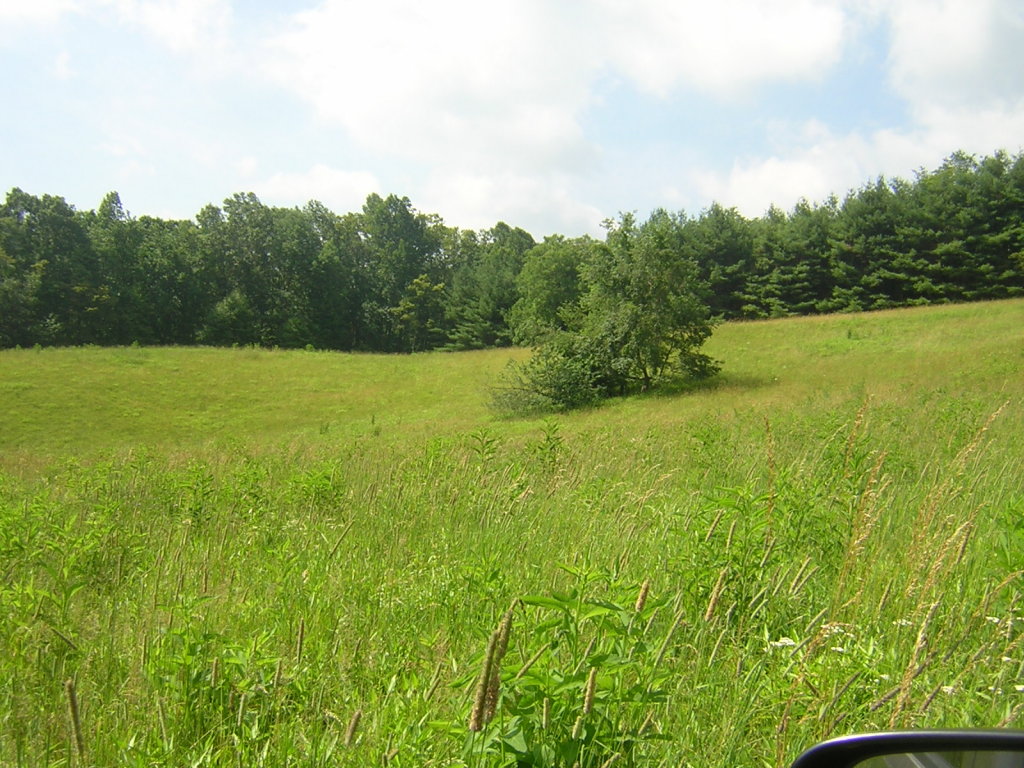 0 Old Furnace Road Southwest Floyd, VA 24091 - Photo 5 of 6 View