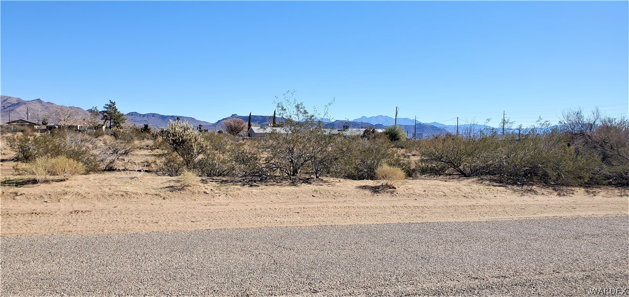 0 North Verde Road Golden Valley, AZ 86413 - Photo 2 of 16 a view of a dry trees with a big yard