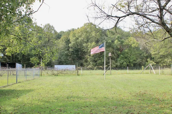 a view of a park with a tree