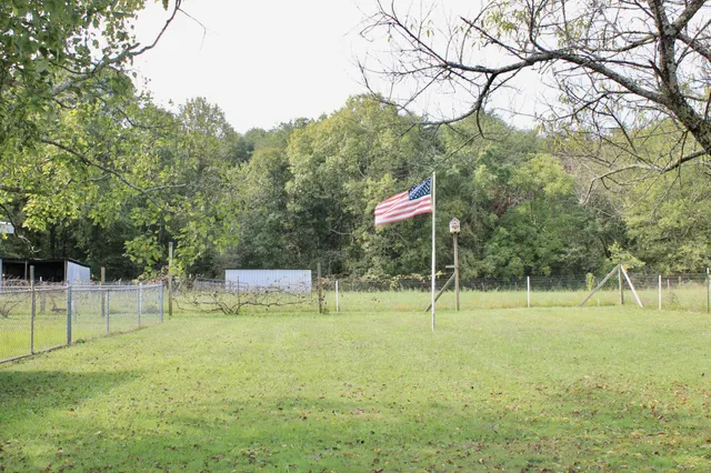 a view of a park with a tree