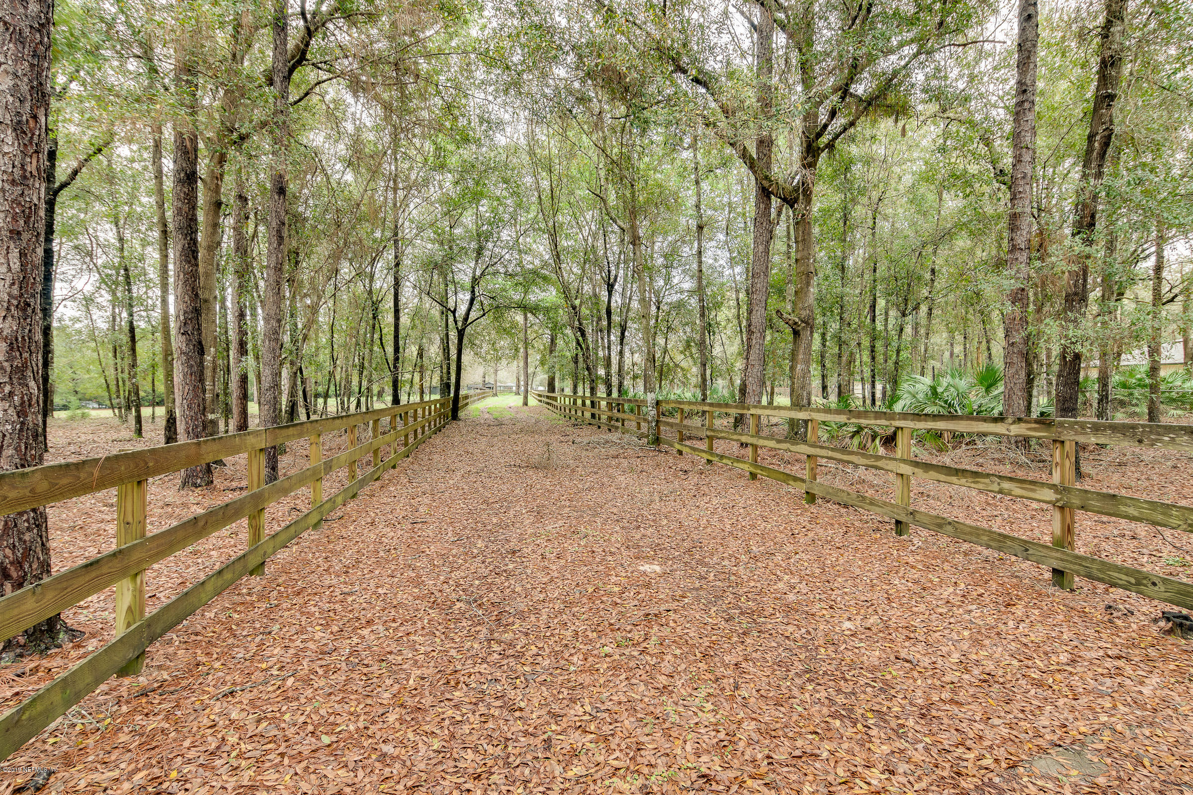 3802 Floyd Road Green Cove Springs, FL 32043 - Photo 19 of 29 Backyard View 9