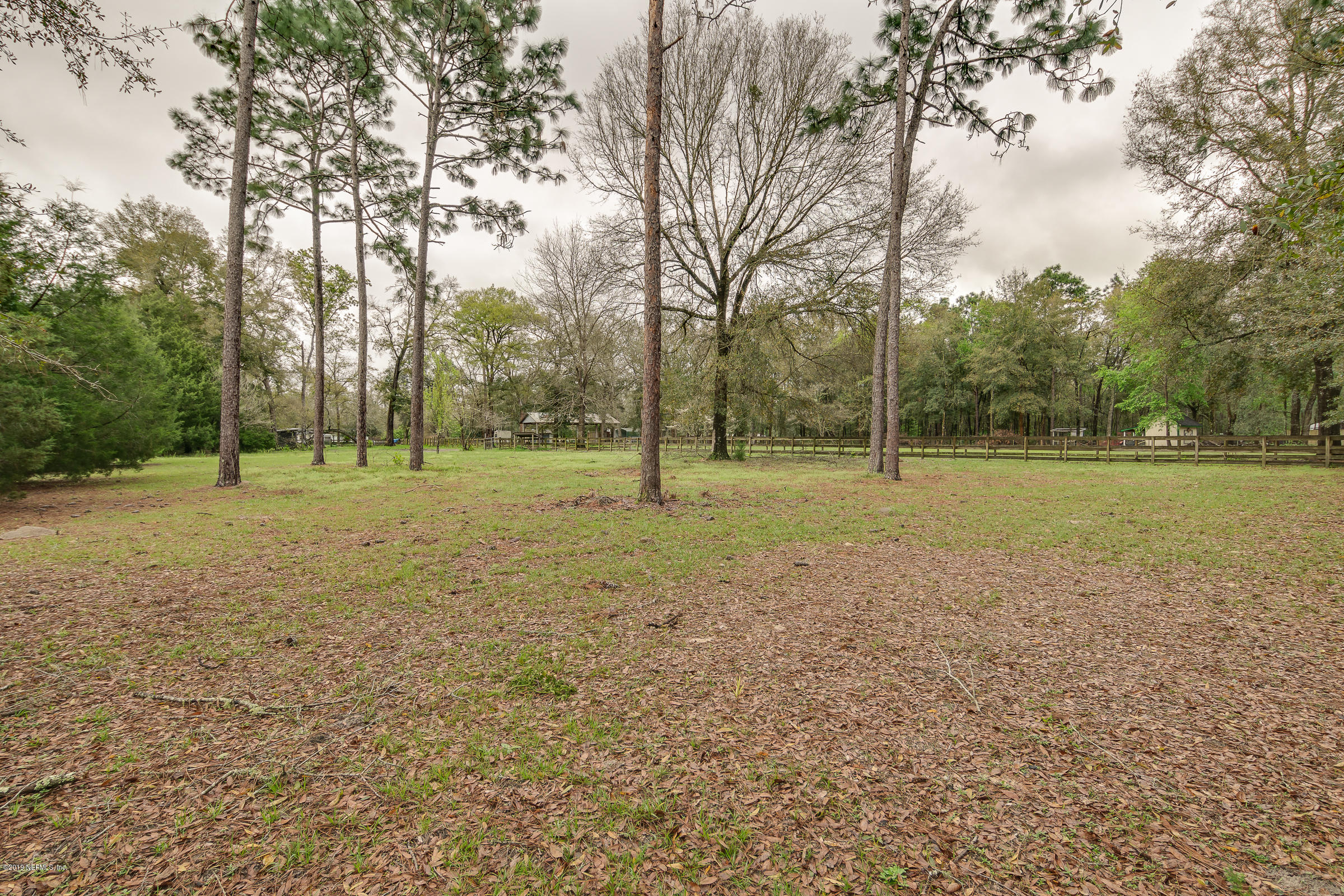 3802 Floyd Road Green Cove Springs, FL 32043 - Photo 21 of 29 Backyard View 7