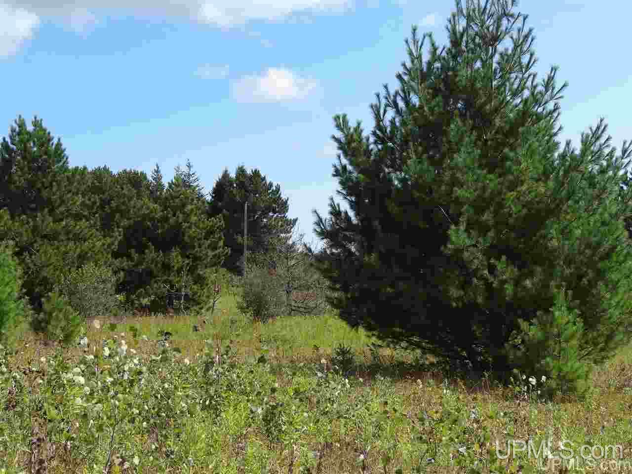 Tbd Leppi Road Lake Linden, MI 49945 - Photo 13 of 16