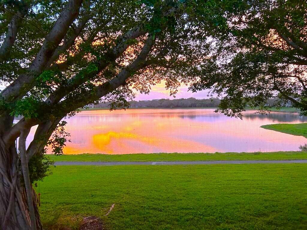 2900 Olivewood Terrace, Unit 203 Boca Raton, FL 33431 - Photo 43 of 50 PHOTO-2024-01-25-19-43-47 (1)