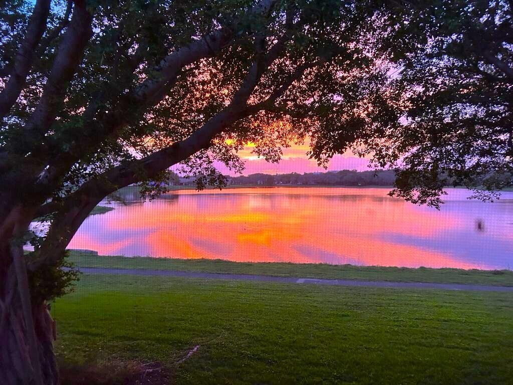 2900 Olivewood Terrace, Unit 203 Boca Raton, FL 33431 - Photo 44 of 50 PHOTO-2024-01-25-19-43-47 (3)