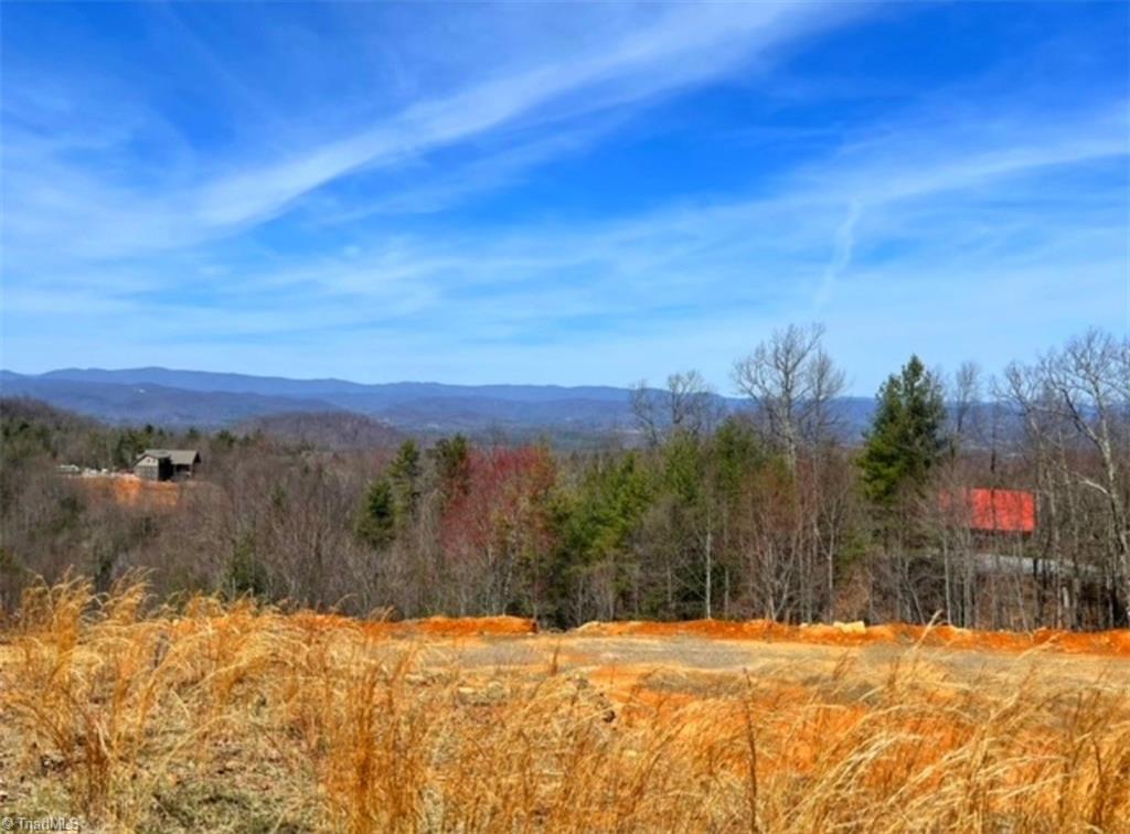 Lot 72 Ridge Run Road Boomer, NC 28606 - Photo 1 of 8 Gallery Image 1