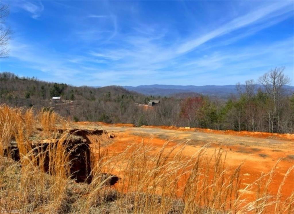 Lot 72 Ridge Run Road Boomer, NC 28606 - Photo 2 of 8 Gallery Image 2
