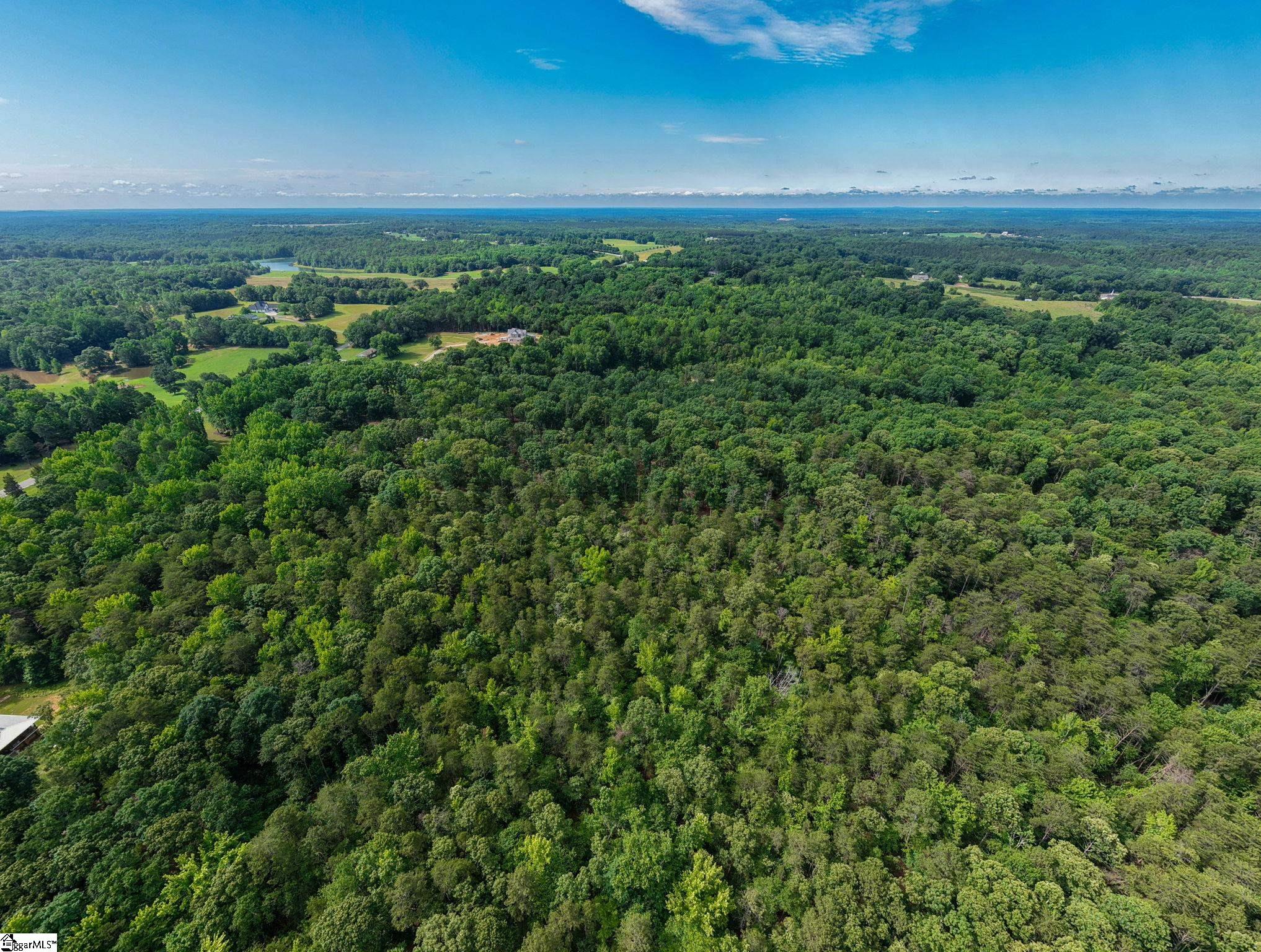 620 Walnut Grove Road Roebuck, SC 29376 - Photo 5 of 49