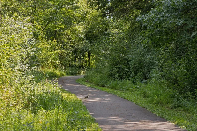 $1,695,000 | 4640 McDonald Drive North, Stillwater, MN 55082