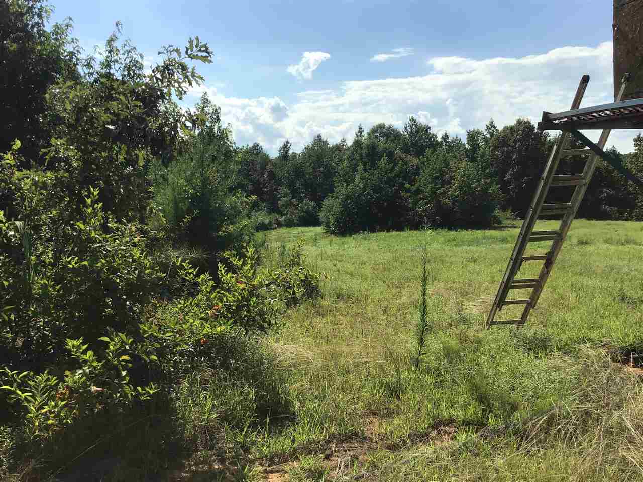 2 Glendale Road Morris Chapel, TN 38361 - Photo 11 of 17 Gallery Image 11