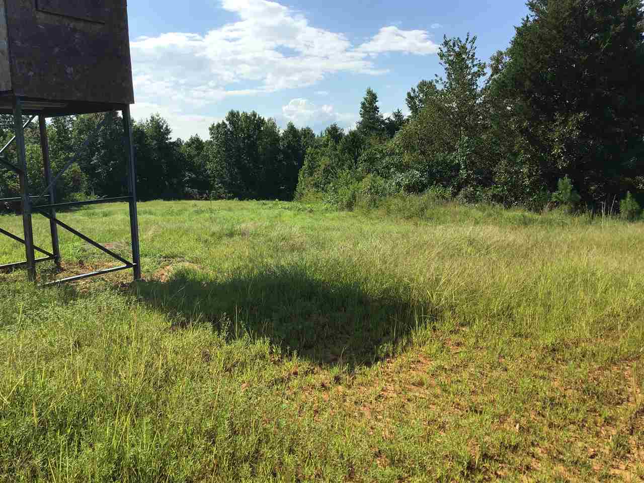 2 Glendale Road Morris Chapel, TN 38361 - Photo 17 of 17 Gallery Image 17