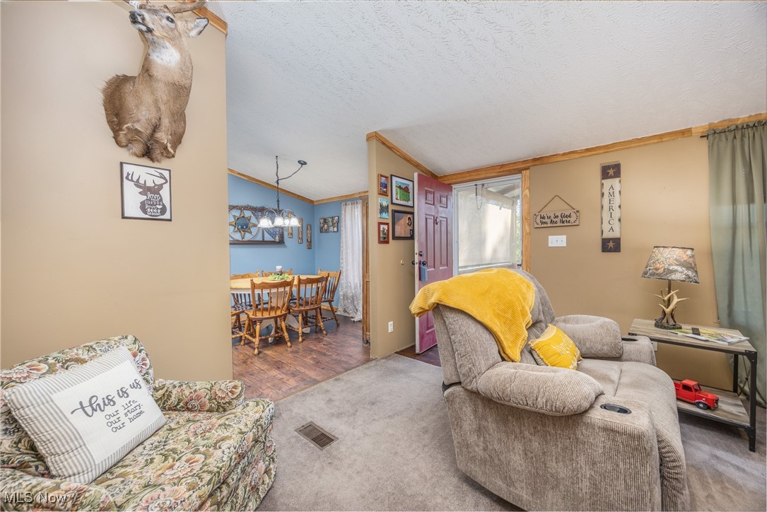 1788 Rosenbush Road Newport, OH 45768 - Photo 13 of 34 Carpeted living room featuring vaulted ceiling, a textured ceiling, and crown molding