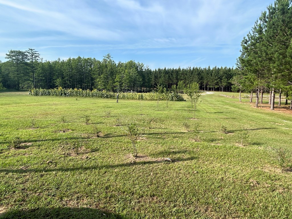 3876 D D Hodge Road Cottonwood, AL 36320 - Photo 18 of 48