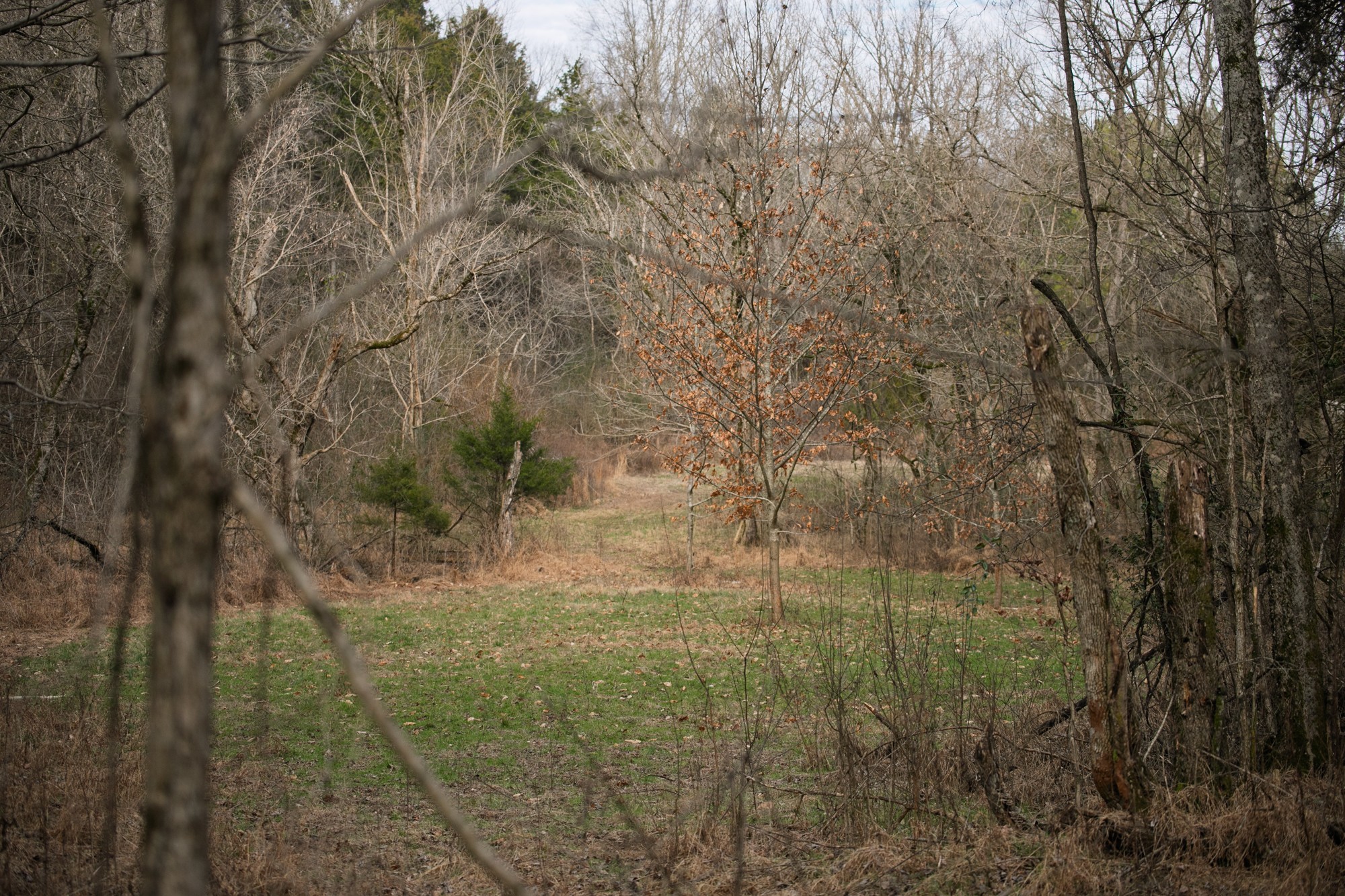 680 Morrell Road Pulaski, TN 38478 - Photo 41 of 71 Gallery Image 41