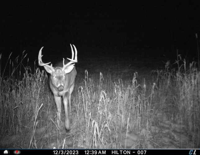 3250 Woiderski Road Cheboygan, MI 49721 - Photo 76 of 79 5