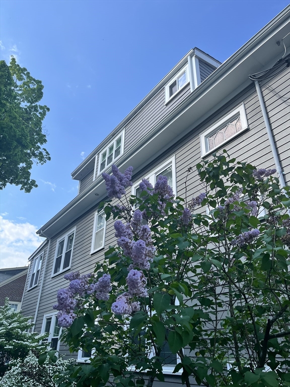 3 Chester Road, Unit 3 Belmont, MA 02478 - Photo 2 of 40 a view of a house with a flower garden