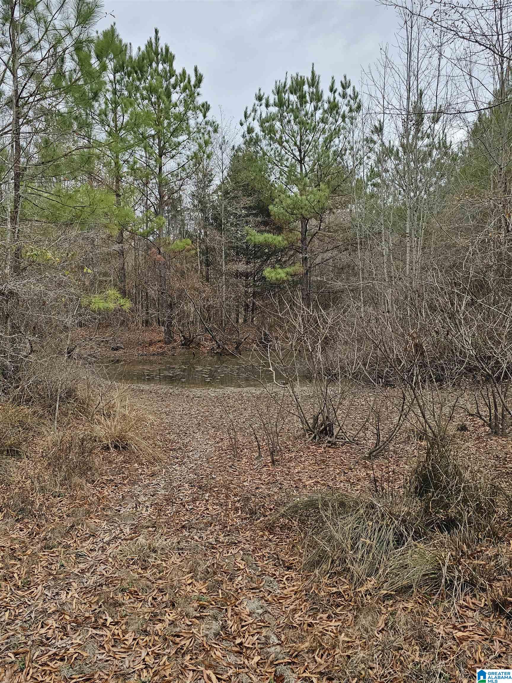 0 County Road 724 Calera, AL 35040 - Photo 18 of 18