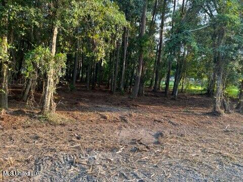 0 Ocean Springs Road Ocean Springs, MS 39564 - Photo 3 of 3 20230914153219880764000000-o