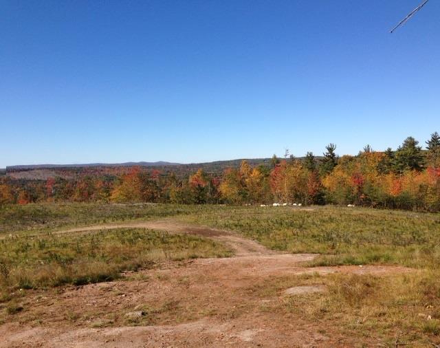 Lot 10 Poplar Hill Road Lebanon, ME 04027 - Photo 6 of 17 Photo