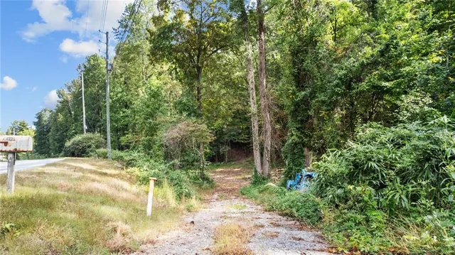 a view of a yard with plants and trees