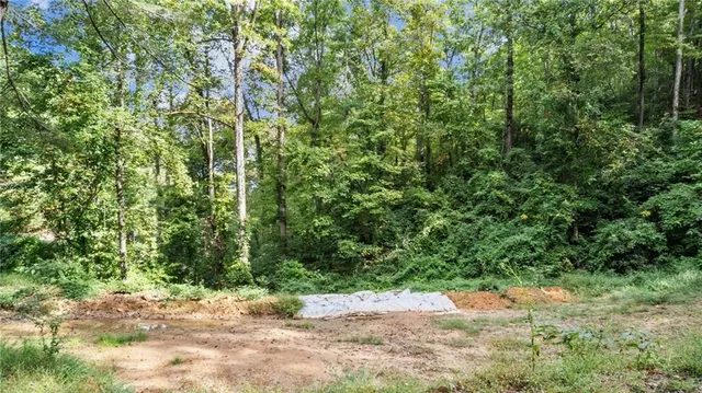 a view of a yard with plants and large trees