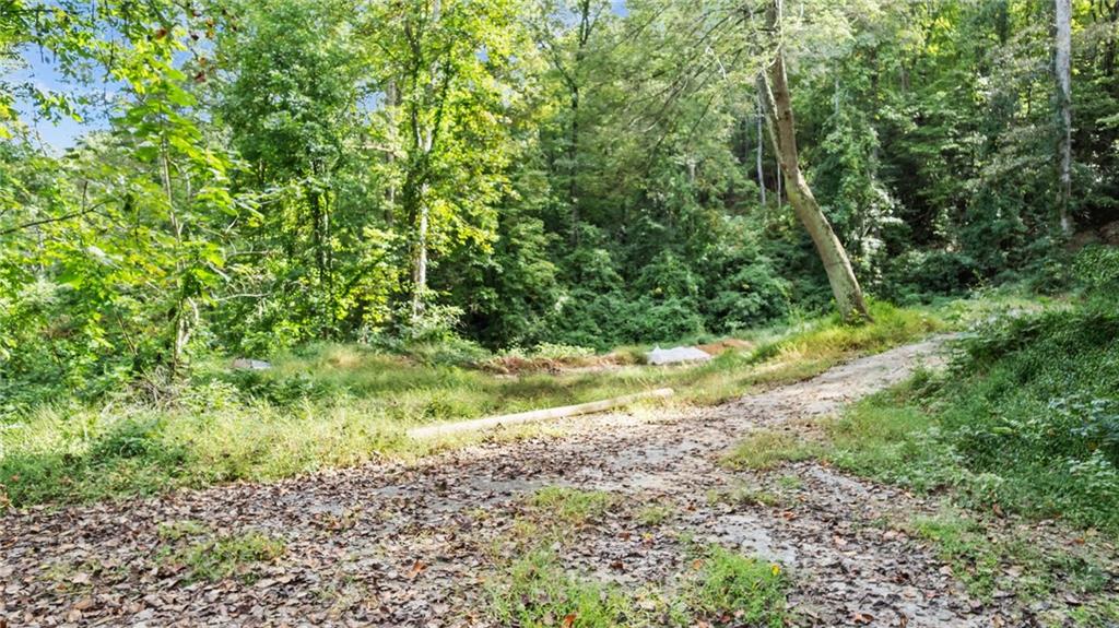 4092 Helen Highway Cleveland, GA 30528 - Photo 13 of 15 a view of a yard with plants and large trees
