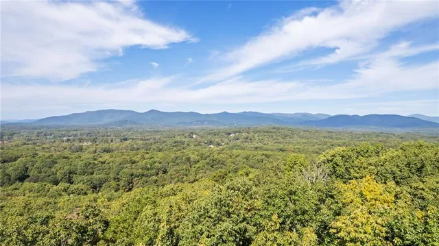 a view of a city with lush green forest