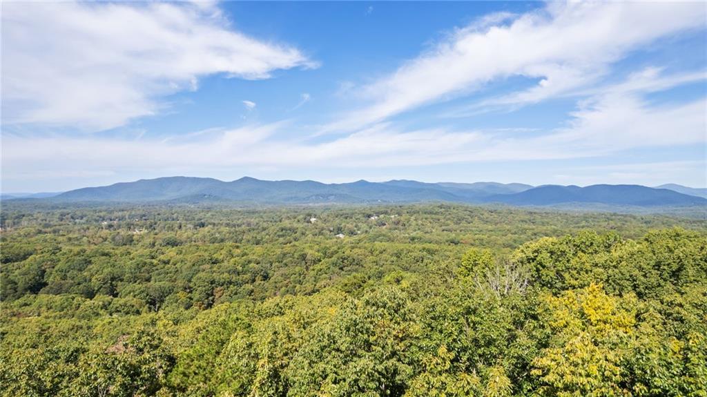 4092 Helen Highway Cleveland, GA 30528 - Photo 4 of 15 a view of a city with lush green forest
