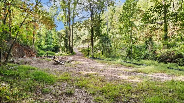 a backyard of a house with trees and plants