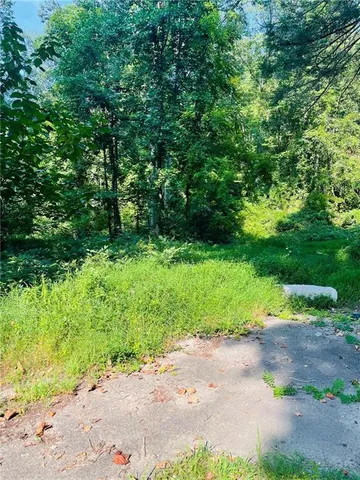 a view of a dry yard with mountains in the background