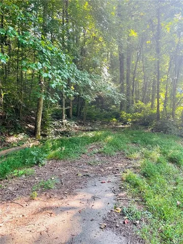 a view of backyard with green space