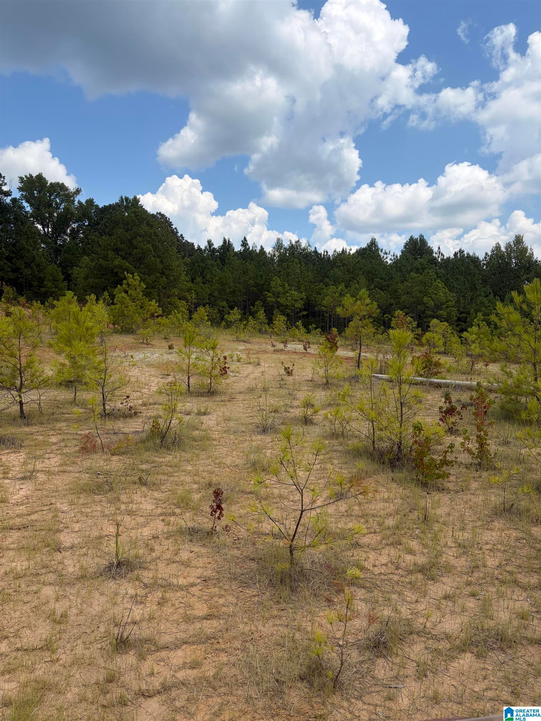 228 County Road, Unit 1 Clanton, AL 35045 - Photo 18 of 22 Gallery Image 18