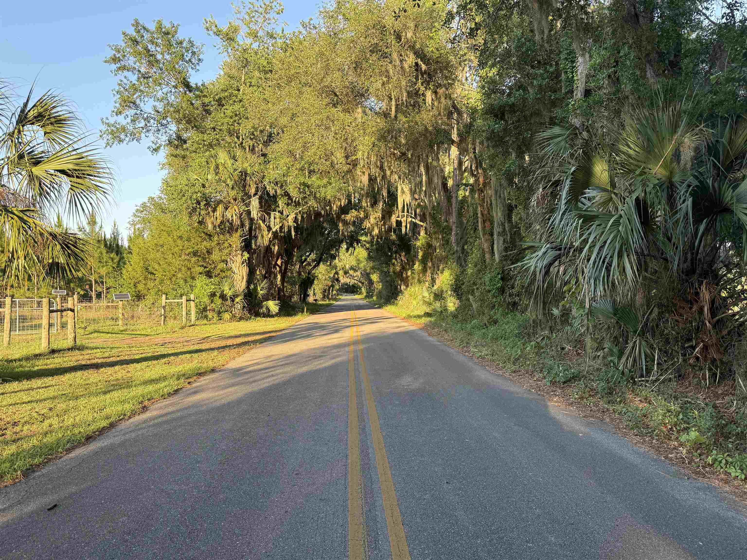 2222 Ellison Gamble Road Perry, FL 32348 - Photo 26 of 26