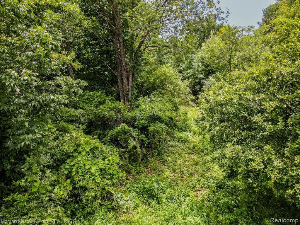 0 Tucker Road Walled Lake, MI 48390 - Photo 16 of 16