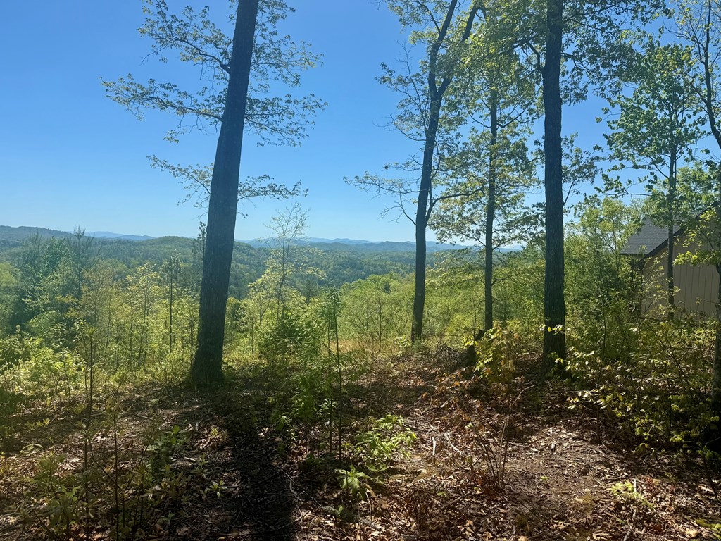 0 Wayah Ridge Murphy, NC 28906 - Photo 5 of 6 a view of an outdoor space and trees